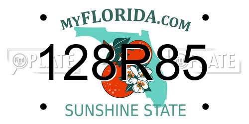 128R85 Florida License Plate