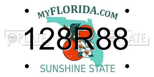 128R88 Florida License Plate