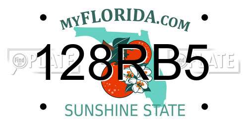 128RB5 Florida License Plate