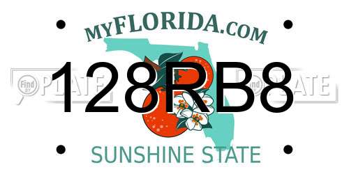 128RB8 Florida License Plate