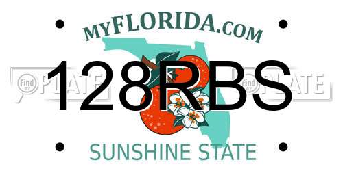 128RBS Florida License Plate