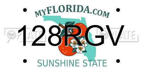 128RGV Florida License Plate