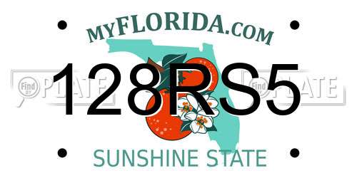 128RS5 Florida License Plate