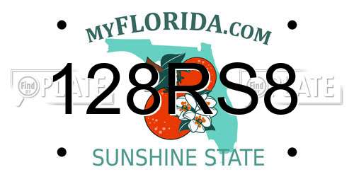 128RS8 Florida License Plate
