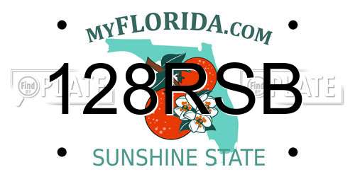 128RSB Florida License Plate