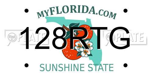 128RTG Florida License Plate