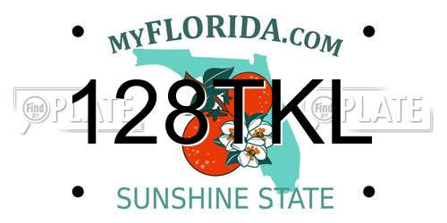 128TKL Florida License Plate