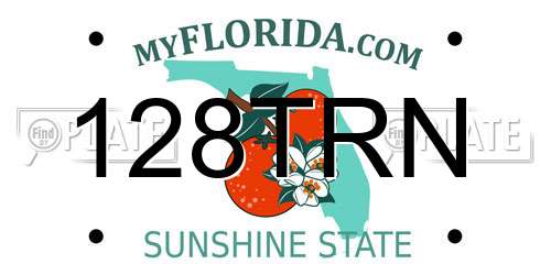 128TRN Florida License Plate