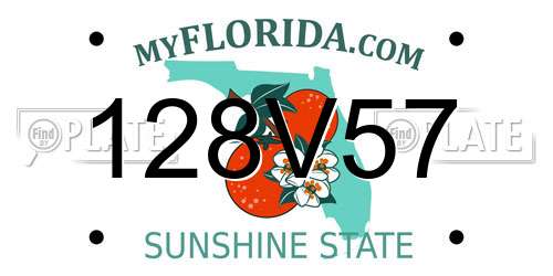 128V57 Florida License Plate