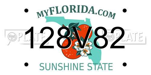128V82 Florida License Plate