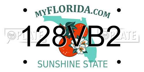 128VB2 Florida License Plate