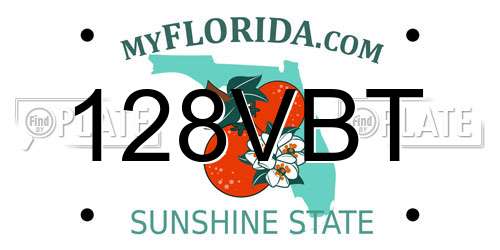 128VBT Florida License Plate