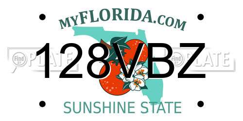 128VBZ Florida License Plate