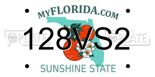 128VS2 Florida License Plate