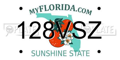 128VSZ Florida License Plate