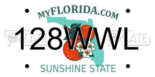 128WWL Florida License Plate