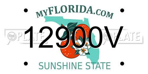 12900V Florida License Plate
