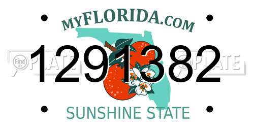 1291382 Florida License Plate