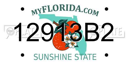 12913B2 Florida License Plate