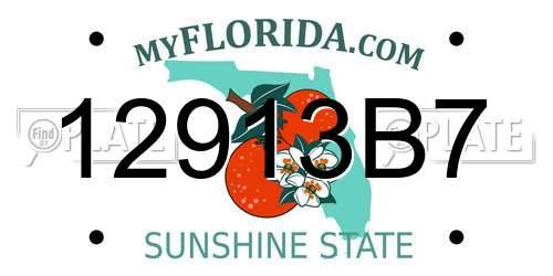 12913B7 Florida License Plate