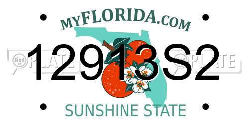 12913S2 Florida License Plate