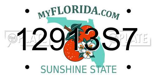 12913S7 Florida License Plate