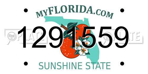 1291559 Florida License Plate