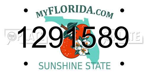 1291589 Florida License Plate