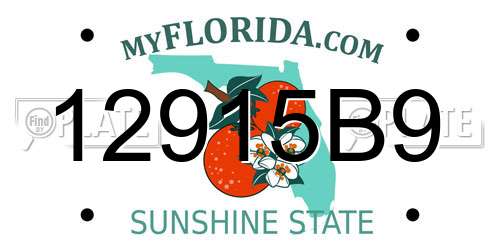 12915B9 Florida License Plate