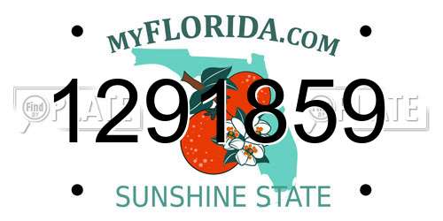 1291859 Florida License Plate