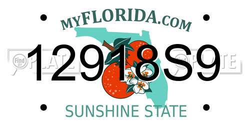 12918S9 Florida License Plate