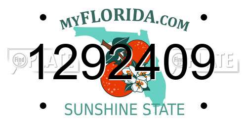 1292409 Florida License Plate