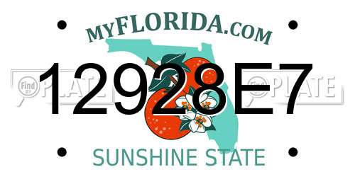 12928E7 Florida License Plate