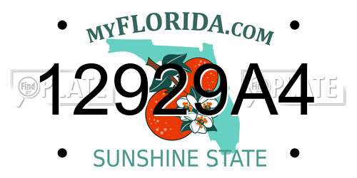 12929A4 Florida License Plate