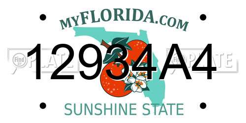 12934A4 Florida License Plate