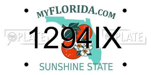 1294IX Florida License Plate