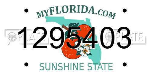 1295403 Florida License Plate