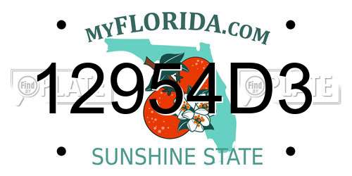 12954D3 Florida License Plate