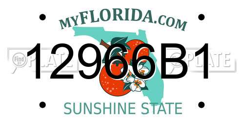 12966B1 Florida License Plate