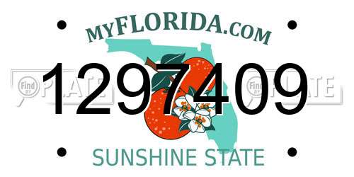 1297409 Florida License Plate