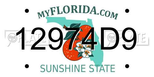 12974D9 Florida License Plate