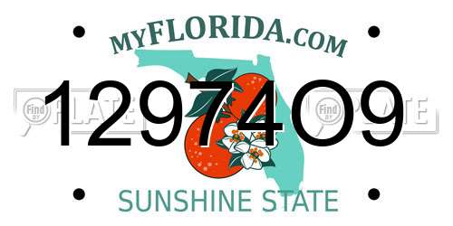 12974O9 Florida License Plate