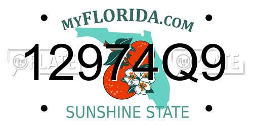 12974Q9 Florida License Plate