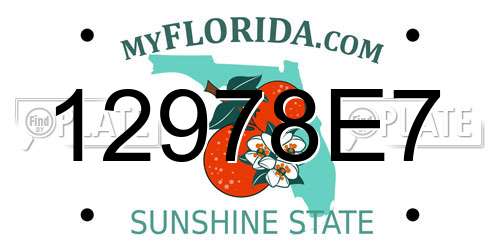 12978E7 Florida License Plate