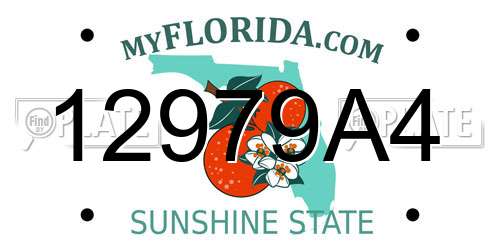 12979A4 Florida License Plate