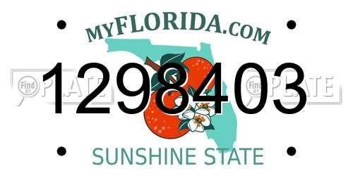 1298403 Florida License Plate