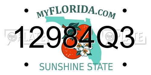 12984Q3 Florida License Plate
