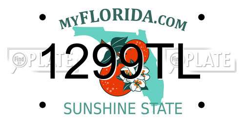 1299TL Florida License Plate