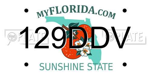 129DDV Florida License Plate