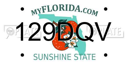 129DQV Florida License Plate